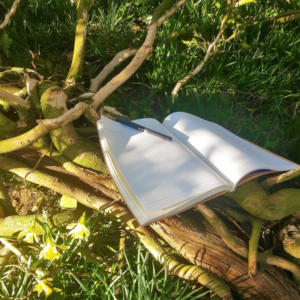 Image of book on tree roots