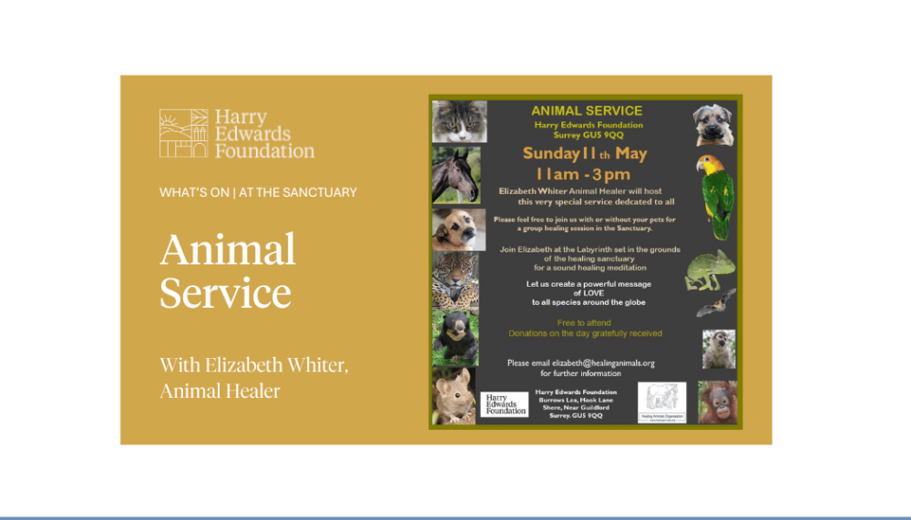Animal Service with Elizabeth Whiter