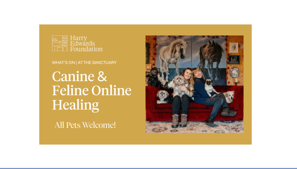 Canine & Feline Online Healing