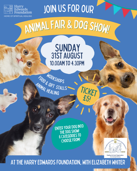 Animal Fair and dog show